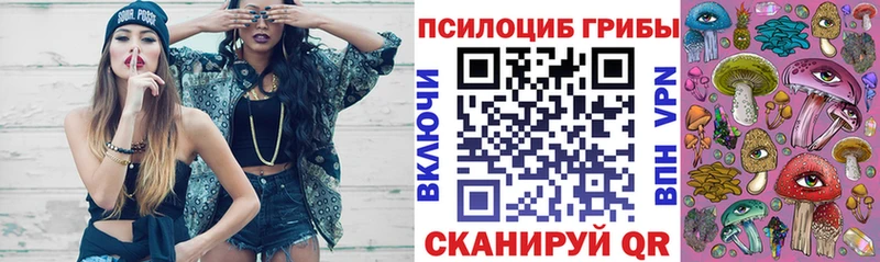 купить наркоту  Пушкино  mega зеркало  Галлюциногенные грибы Cubensis 