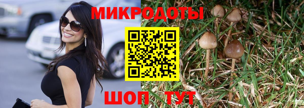 Пушкино  Галлюциногенные грибы прущие грибы  Вход с VPN 